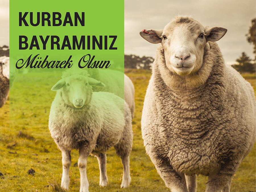 sm_kurban51.jpg